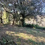 Giardinoterapeuticoinvilla