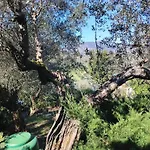 Giardinoterapeuticoinvilla