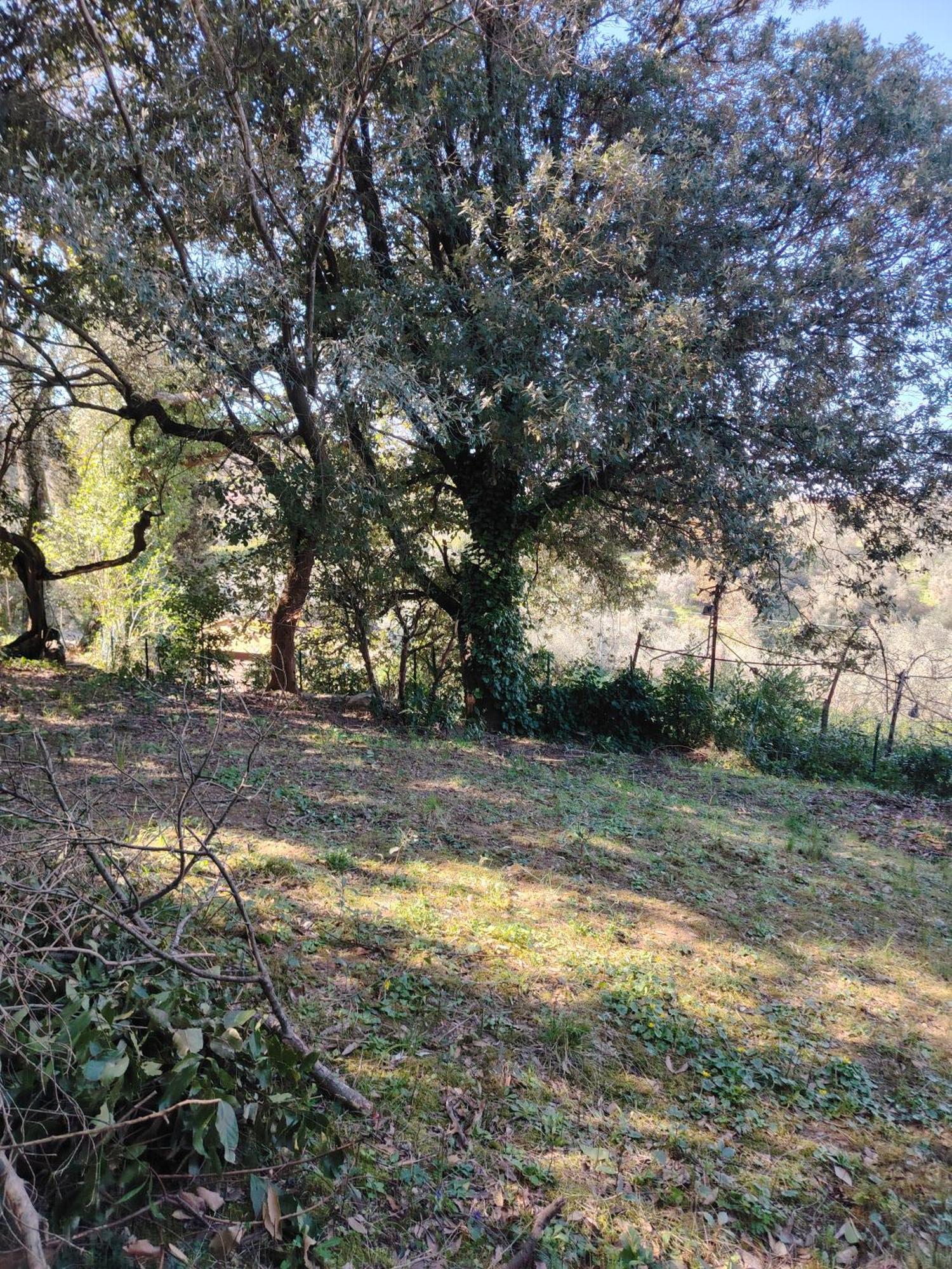 Giardinoterapeuticoinvilla Florencia