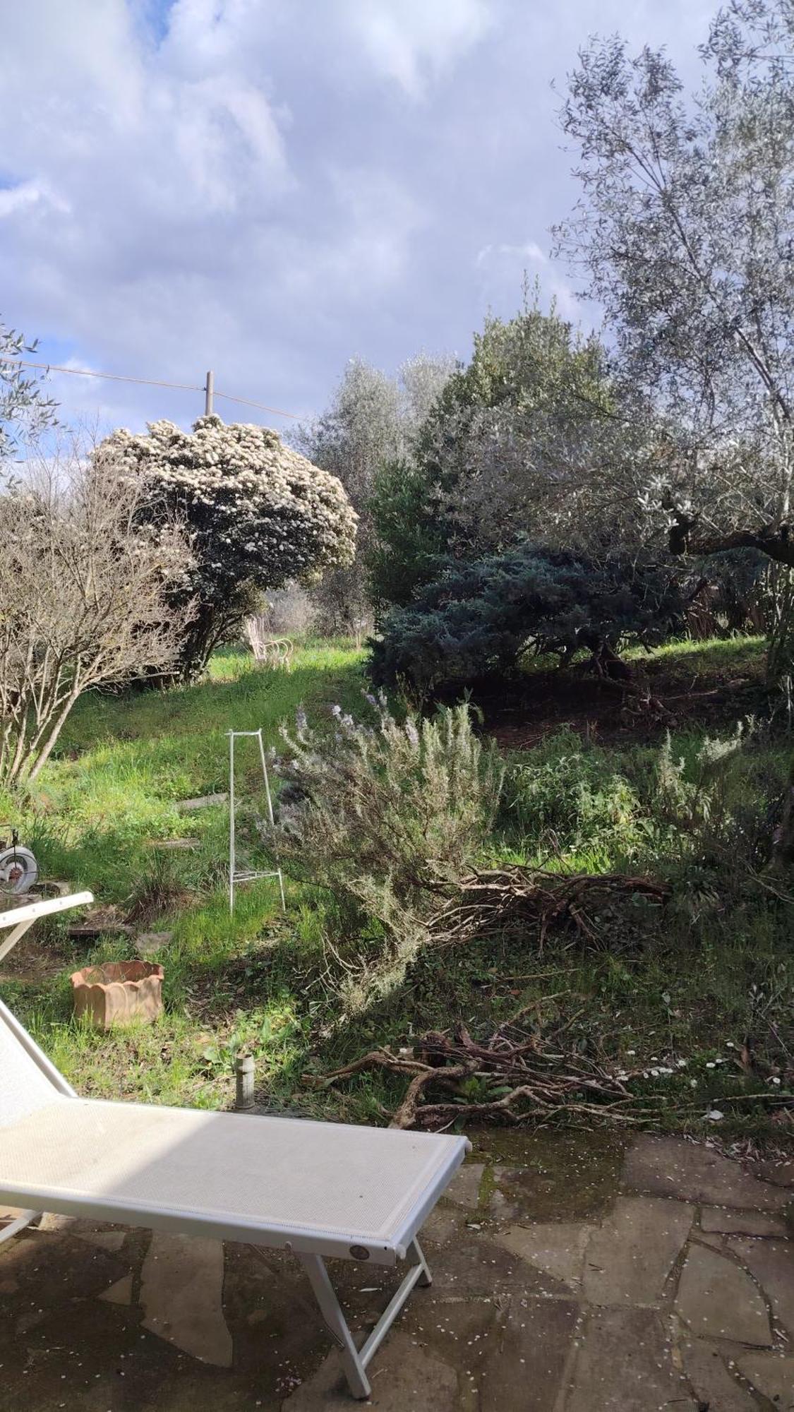 Giardinoterapeuticoinvilla Florencia