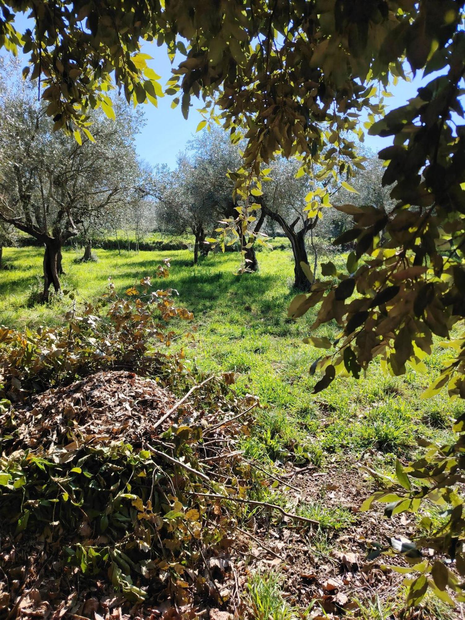 Agroturismo Giardinoterapeuticoinvilla
