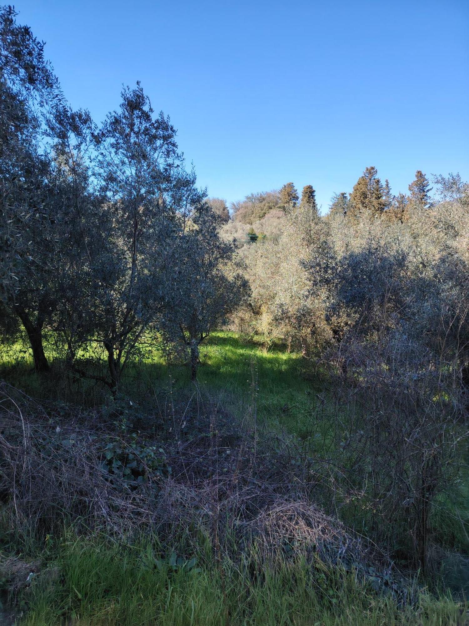 Giardinoterapeuticoinvilla Agroturismo *