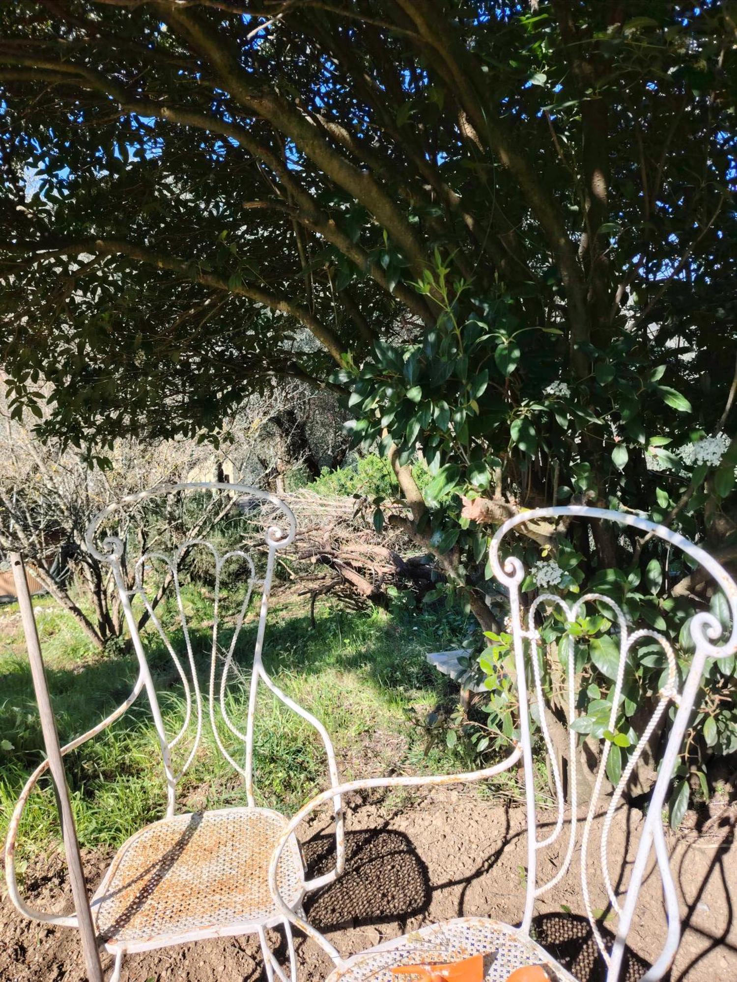 Giardinoterapeuticoinvilla Florence