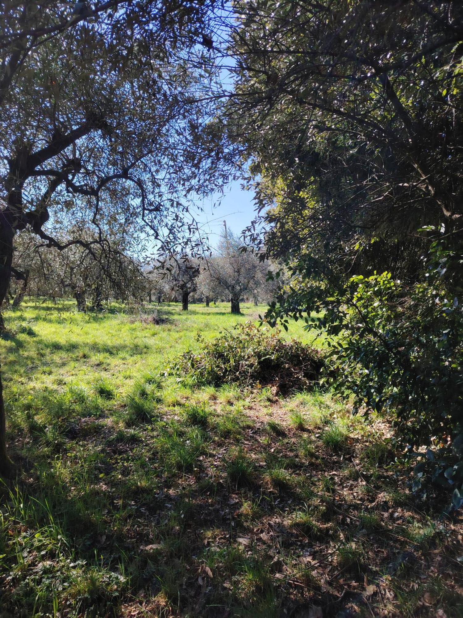 Farm stay Giardinoterapeuticoinvilla